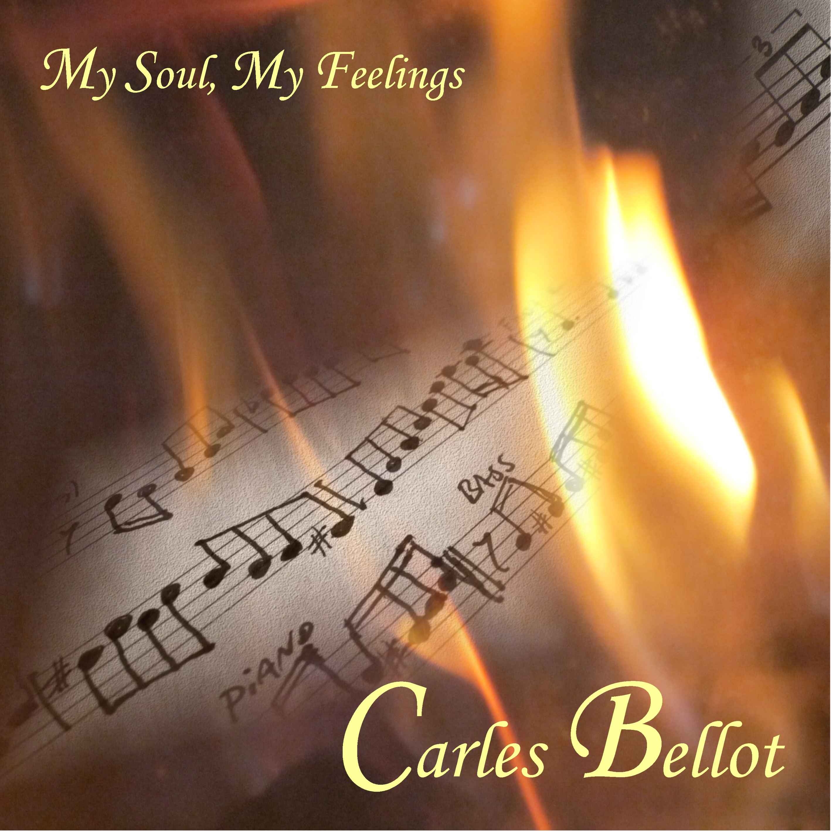 My Soul, My Feelings by Carles Bellot